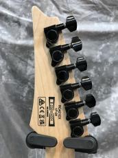 Ibanez RG421EX_6