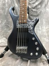 FREEDOM CUSTOM GUITAR RESEARCH Dulake Libero-5st