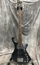 FREEDOM CUSTOM GUITAR RESEARCH Dulake Libero-5st_2