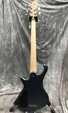FREEDOM CUSTOM GUITAR RESEARCH Dulake Libero-5st_3