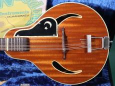 Hofner MANDOLIN_2