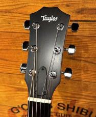 Taylor 【限定カラー】214ce RW Special Edition Honeyburst 【30本のみ】【48回無金利】_4