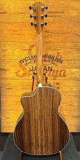 Taylor 【限定カラー】214ce RW Special Edition Honeyburst 【30本のみ】【48回無金利】_8