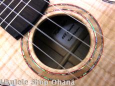 Kikolele コンサート フレイムメイプル #68_10