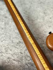 Carl Thompson Semi-Frills 4st【2.91kg】_9