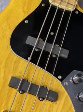FUJIGEN NCJB10MBAH Mod - Natural -_5