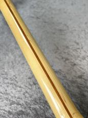 FUJIGEN NCJB10MBAH Mod - Natural -_9