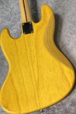 FUJIGEN NCJB10MBAH Mod - Natural -_10