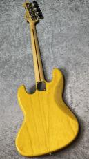 FUJIGEN NCJB10MBAH Mod - Natural -_11