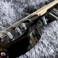 VOX Starstream Active Bass 2S Artist (VSBA-A2S-MBMB)【特価】【日本製】_10