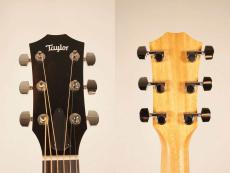 Taylor 214ce RW Special Edition ~Honey Burst~【30本限定】【ローズウッド仕様】_10