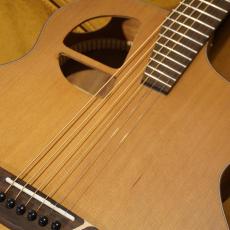 L.Luthier LE Light ST_3
