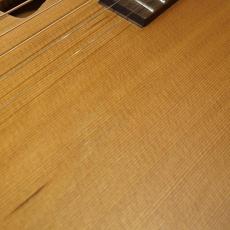 L.Luthier LE Light ST_4