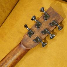 L.Luthier LE Light ST_14