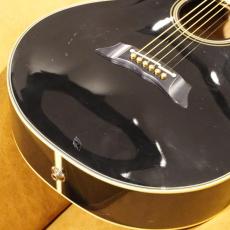 Takamine PT-108_2