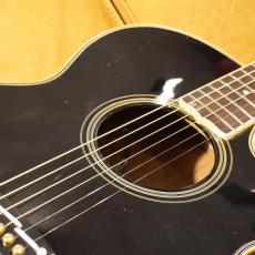 Takamine PT-108_3