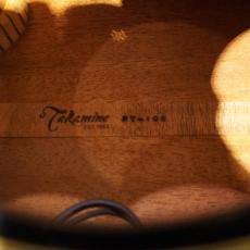 Takamine PT-108_5