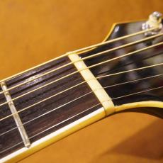 Takamine PT-108_6