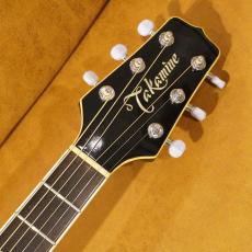 Takamine PT-108_7