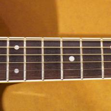 Takamine PT-108_9