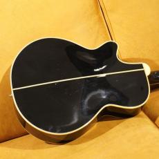 Takamine PT-108_13