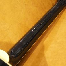 Takamine PT-108_14