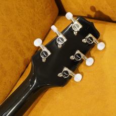 Takamine PT-108_15
