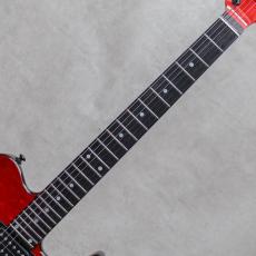 Valley Arts custom Pro T Quilt Top / 1993_7