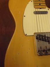 Fender TELECASTER (1975)_5