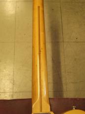 Fender TELECASTER (1975)_9