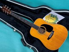 Martin D-28