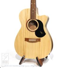 Maton Performer