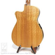 Maton Performer_4