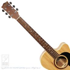 Maton Performer_6