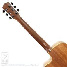 Maton Performer_7