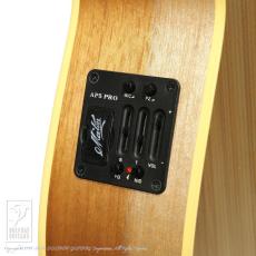 Maton Performer_13