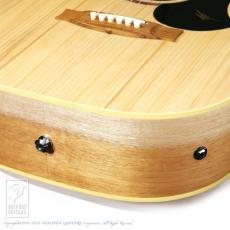 Maton Performer_15