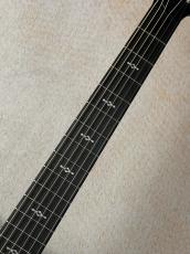 Taylor 【新仕様!!】312ce Next generation【送料当社負担・最大48回無金利】_4