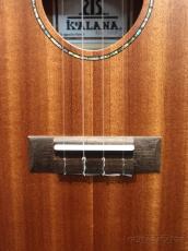 Koalana KCA-10SP Concert 【コアラナ】【コンサート/サペリ】【送料込】_5