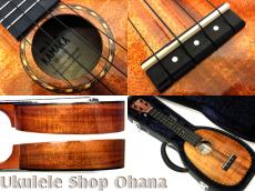 Kamaka 100周年記念モデル[HP-1LD]ソプラノロングネック パイナップル デラックス #162215 中古委託_4