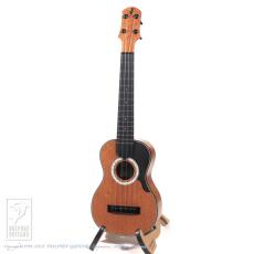Tatsuya Mitsui hand made ukulele type R_2
