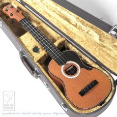 Tatsuya Mitsui hand made ukulele type R_14