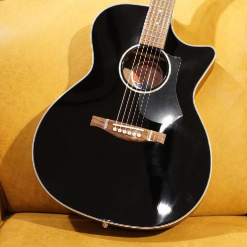 Eastman PCH2-GACE-BK