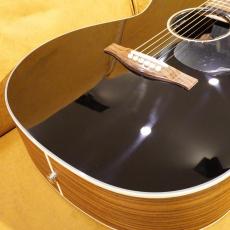 Eastman PCH2-GACE-BK_2