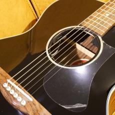 Eastman PCH2-GACE-BK_3