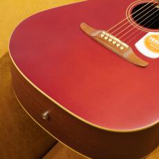 Fender REDONDO PLAYER CAR_2