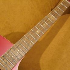 Fender REDONDO PLAYER CAR_6