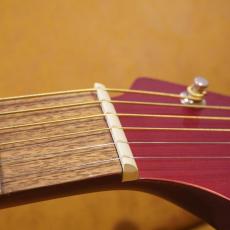 Fender REDONDO PLAYER CAR_7