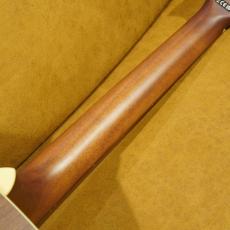 Fender REDONDO PLAYER CAR_13
