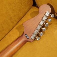 Fender REDONDO PLAYER CAR_14